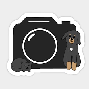 Dog, Cat and Camera Sticker